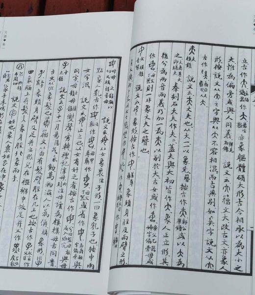 《文源》，手稿影印本，16开，林义光著，中西书局2017年一版三印，452页，定价80，售价38元。 商品图11