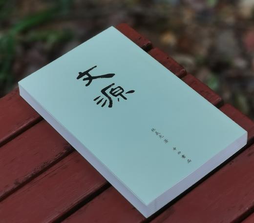 《文源》，手稿影印本，16开，林义光著，中西书局2017年一版三印，452页，定价80，售价38元。 商品图1