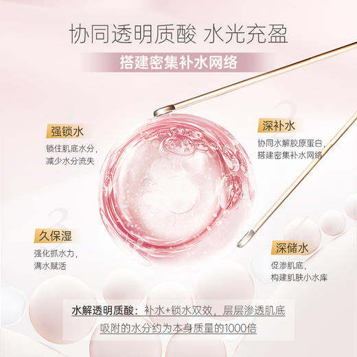 【营养师专属】法国碧维斯biocyte胶原蛋白填充粉12支 商品图4