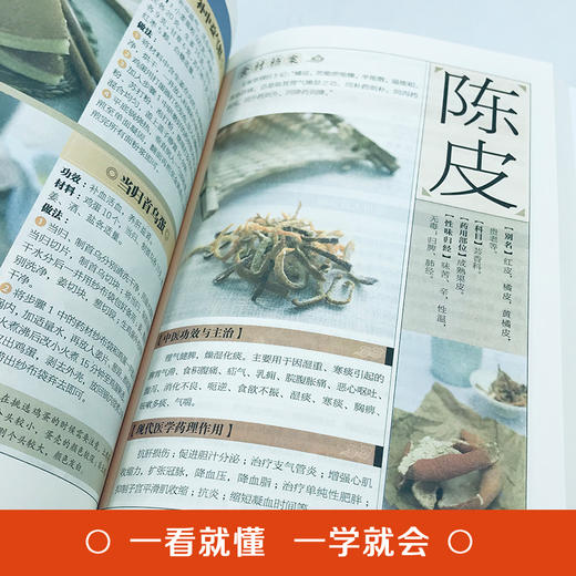 餐桌上的中药一书全套彩图大字版中药食谱自制药膳祛病速查全书 商品图2