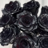 厄瓜多尔BLACK WIDOW黑蜘蛛染色玫瑰花10支 商品缩略图0