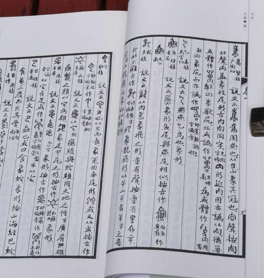 《文源》，手稿影印本，16开，林义光著，中西书局2017年一版三印，452页，定价80，售价38元。 商品图12