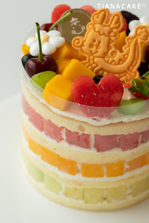 龙行龘龘前程朤朤（5寸缤纷水果） 商品图2