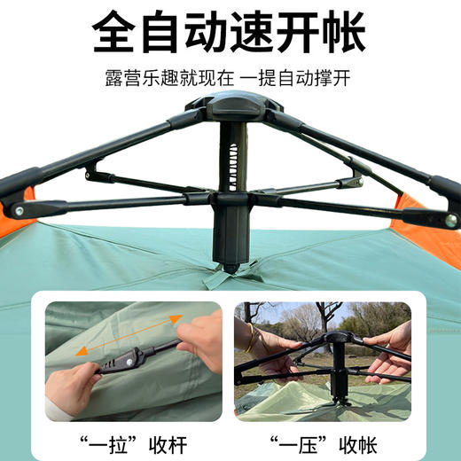 外交官DHW-7102帐篷（不退不换）（2-3人） 商品图1