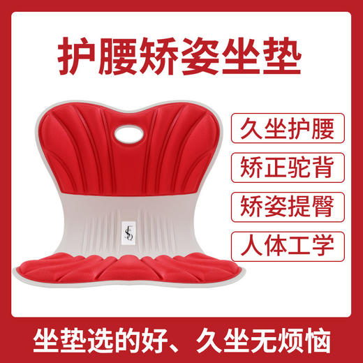 【久坐不累！横扫疲劳】新款汽车坐垫四季通用透气不闷座垫久坐不累护腰靠垫矫正坐姿，肩颈腰椎一起用，长途开车也不累。ry 商品图9