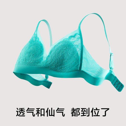 有棵树「兔耳杯」蕾丝深V性感无钢圈防下垂文胸内衣-B7007 商品图4
