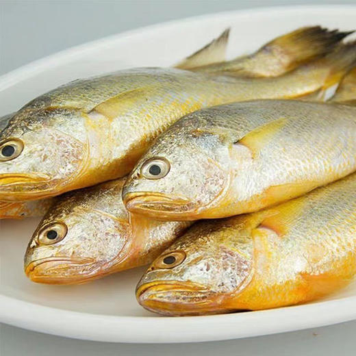 【海鲜】野生小黄鱼 约2.5两/条 商品图1