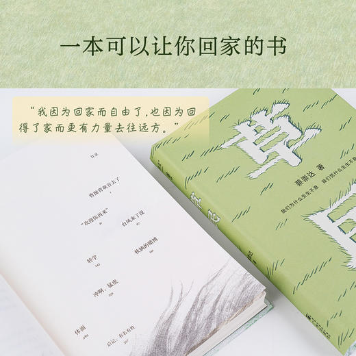 草民  百万畅销书作家蔡崇达全新中短篇集，金色故乡三部曲（《皮囊》《命运》《草民》）收官力作！ 商品图3