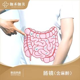 肠镜（含麻醉）
