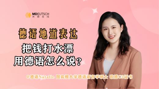 把钱打水漂用德语怎么说 商品图0