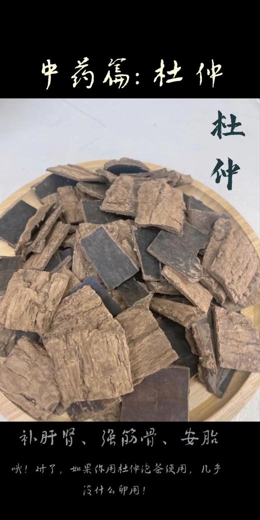杜仲 商品图0