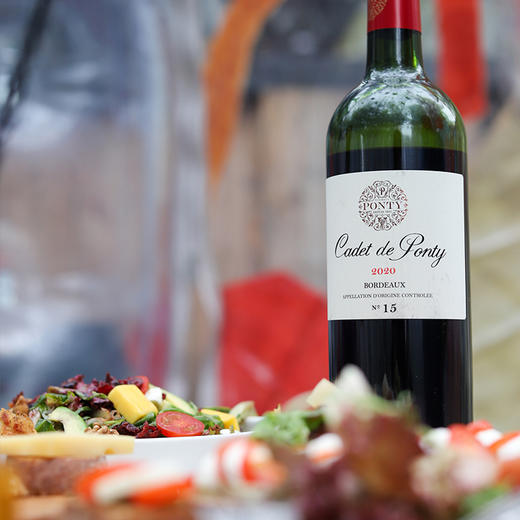 康德葡萄酒2020 Cadet de Ponty 商品图2