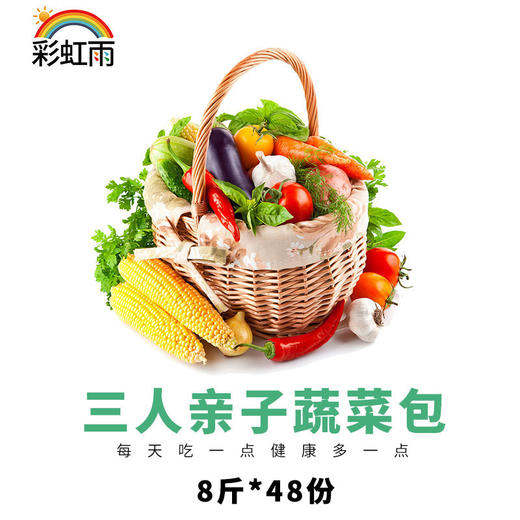 京津冀包邮有机蔬菜宅配套餐三人亲子蔬菜包 8斤*48份欧盟认证 商品图4