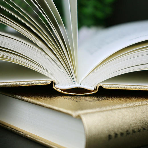 孙子兵法+三十六计 2本 中华经典名著 全本全注全译 精装烫金版 商品图4