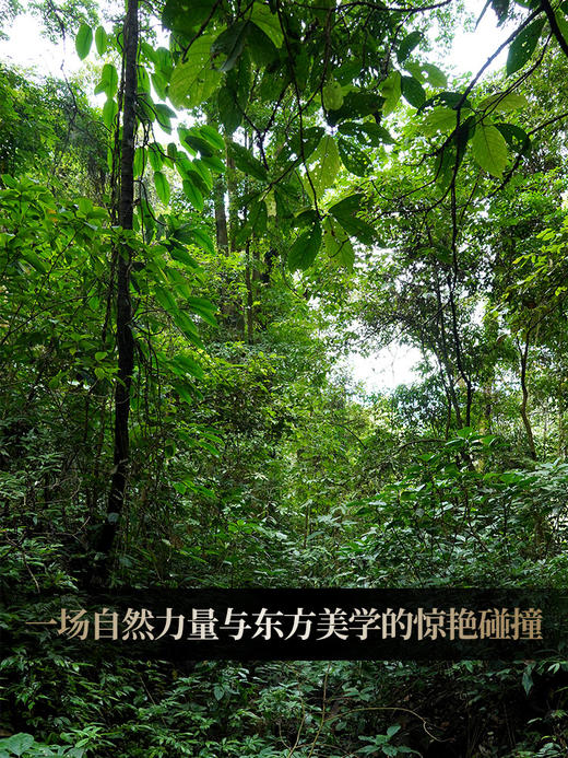 【掌柜私藏薄荷塘】2014年头春头采 十年勐海干仓薄荷塘纯料 有钱难买的稀缺货 云南易武普洱茶生茶357g/饼 拍5发6拍20发25 商品图8