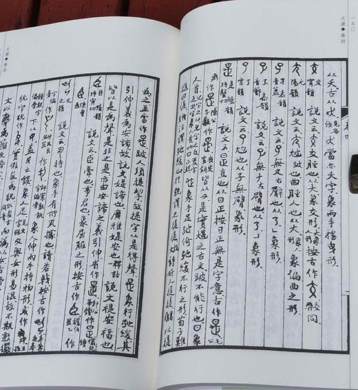 《文源》，手稿影印本，16开，林义光著，中西书局2017年一版三印，452页，定价80，售价38元。 商品图13