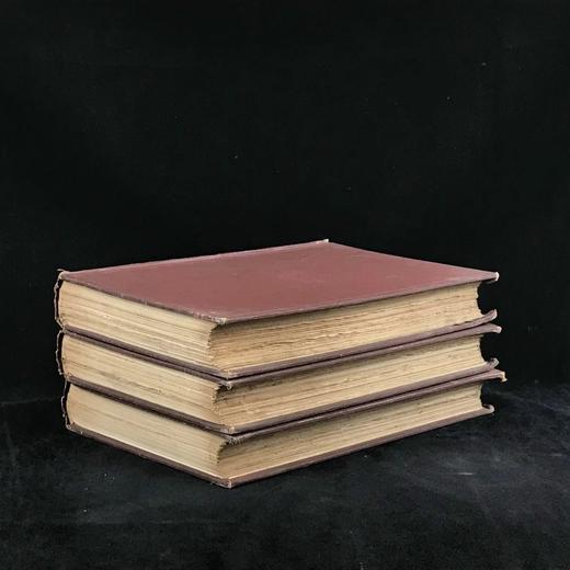 含藏书票！1886年 罗斯金《威尼斯之石》（全3卷）  约200幅版画插图 漆布精装大16开 商品图1