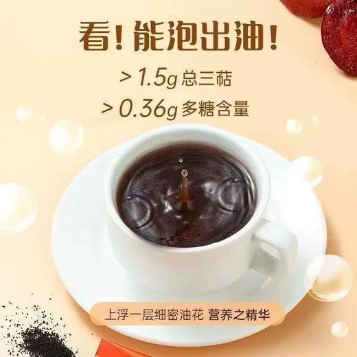 【草晶华】破壁灵芝孢子粉 商品图1