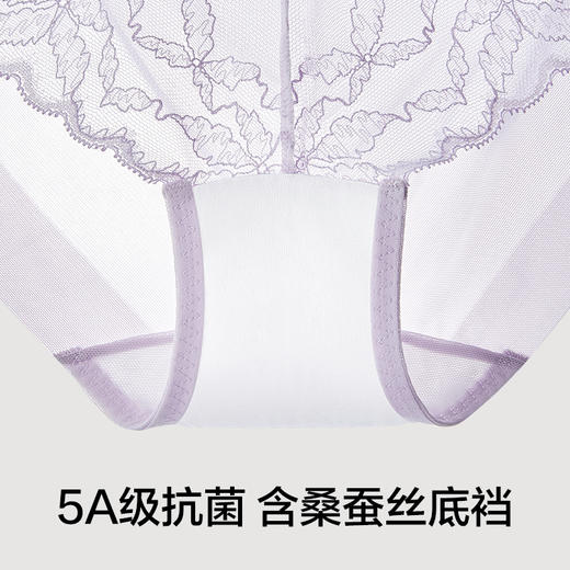 有棵树蕾丝中腰纯棉裆女士内裤-U5006 商品图2