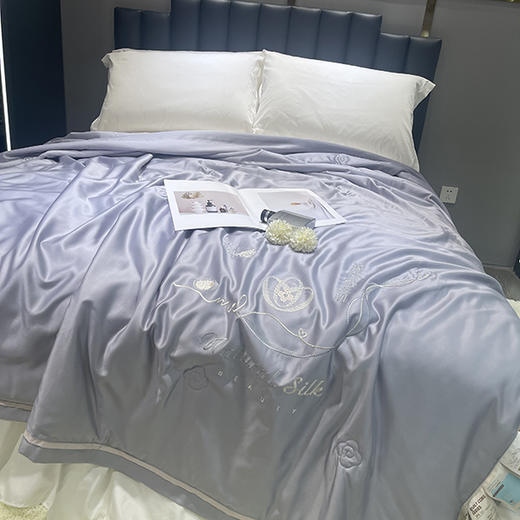 雅鹿5616莱赛尔40%蚕丝双人夏被2*2.3m 商品图0