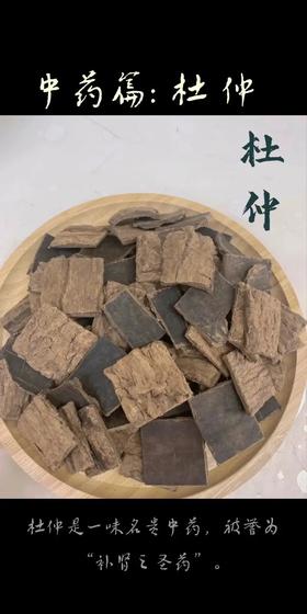 杜仲