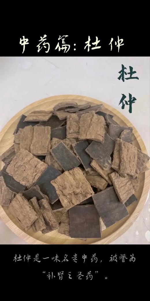 杜仲 商品图0