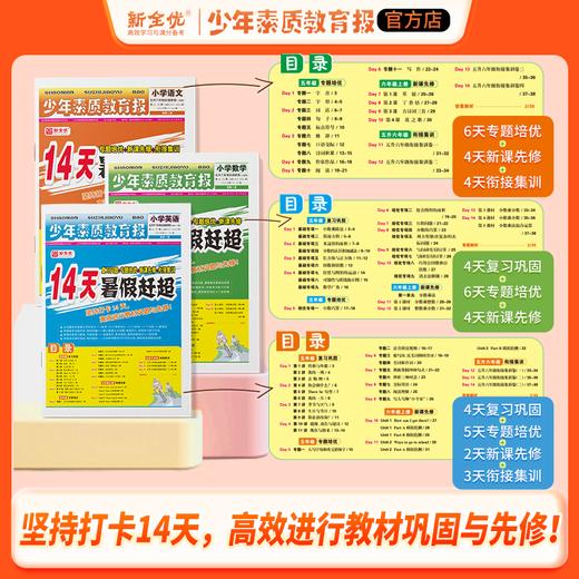 少年素质教育报《14天暑假赶超》 商品图1