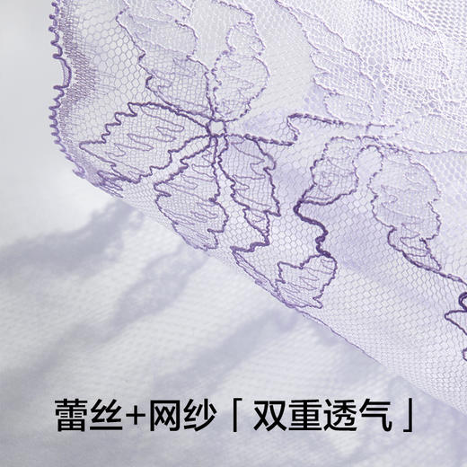 有棵树蕾丝中腰纯棉裆女士内裤-U5006 商品图1
