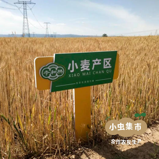 生态琪子豆 180g*2罐 | 合作农友生产，来自山西永济，生产者：蒲韩公社成员 *【公平贸易农人定价】 商品图11