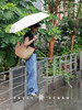【满1500赠品 无需加购和拍下】PETIT SCHAN小闪  rainshade 也无风雨也无晴 超轻碳纤伞骨30D超薄可再生环保抗UV防晒雨伞 商品缩略图0
