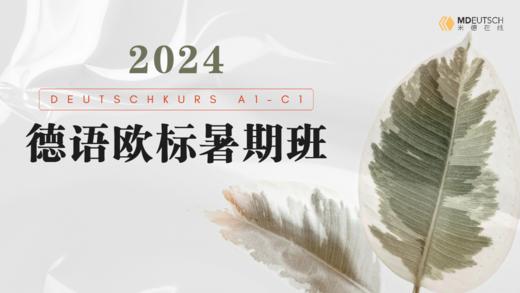 2024德语A1-C1暑期班试听课 商品图0