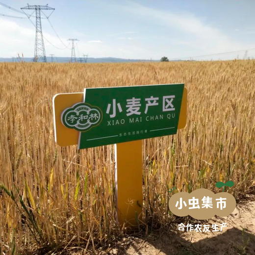 生态薄饼（薄脆） 198g*2盒 | 合作农友生产，来自山西永济，生产者：蒲韩公社成员 *【公平贸易农人定价】 商品图11