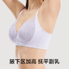 有棵树「兔耳杯」蕾丝小胸聚拢内衣文胸女-B7005 商品缩略图4