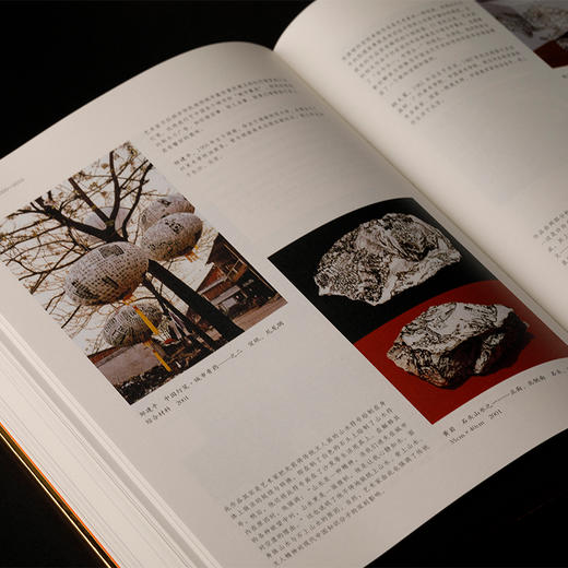 中国当代艺术史 商品图2