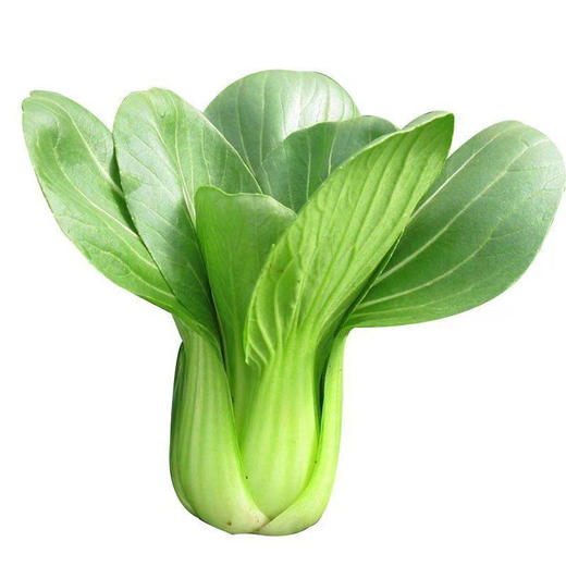 【蔬】大香菇菜 约500g/份 商品图0