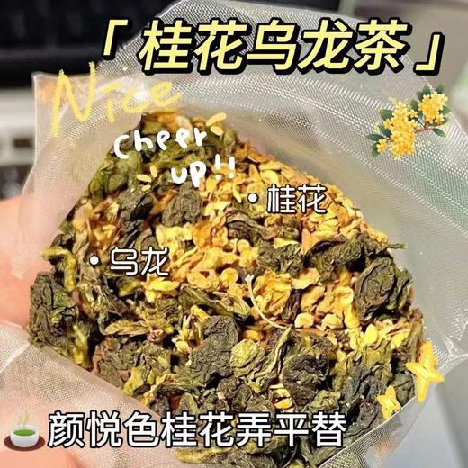 【第2袋半价！蜜桃桂花乌龙茶】冷泡热泡都好喝，一口就爱上！水果茶冲泡果饮泡水喝的东西 商品图1