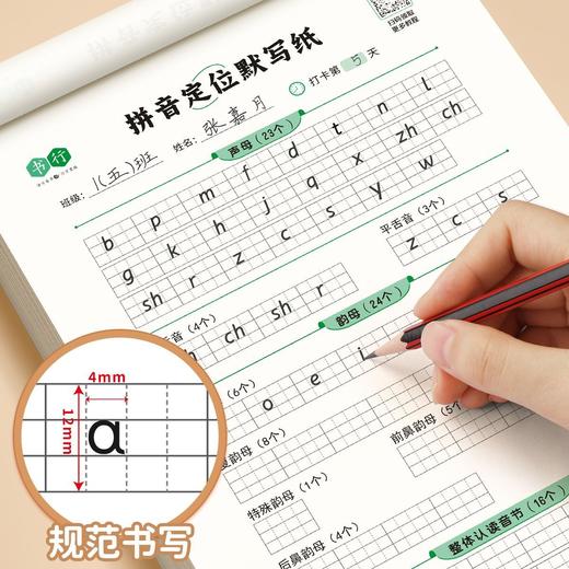 幼小学生【拼音定位练习纸】听写默写拼读练习拼音规范书写练习纸 商品图1