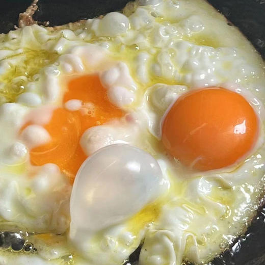 鲜蛋大师无抗富硒鲜鸡蛋 30枚装 商品图3