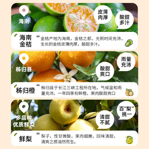 【限时活动】【抢2桶65元】金豆芽金桔鲜橙鲜梨新鲜水果膏老人小孩泡水 商品图7