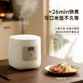 【官方自营】大宇迷你电饭煲1-2人控糖米汤分离家用小型宿舍多功能电饭锅