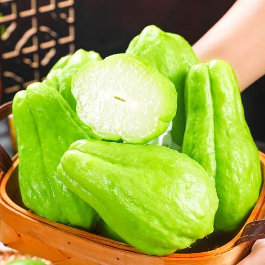 标准佛手瓜 | 水果 商品图0