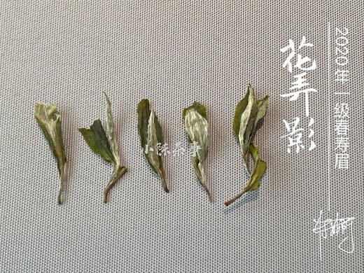 【会员特惠】连续多日低温的产物，2020高山一级春寿眉《花弄影》香气芬芳、汤水清甜，是温柔花香里的白牡丹之影（80克） 商品图3