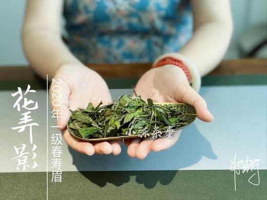 【会员特惠】连续多日低温的产物，2020高山一级春寿眉《花弄影》香气芬芳、汤水清甜，是温柔花香里的白牡丹之影（80克） 商品图1