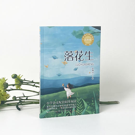 落花生 新版 商品图4