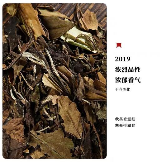 福鼎白茶 | 一叶九鼎 2019年 磻溪大洋山大洋轻语-金风玉露 老白茶160g/盒 商品图3