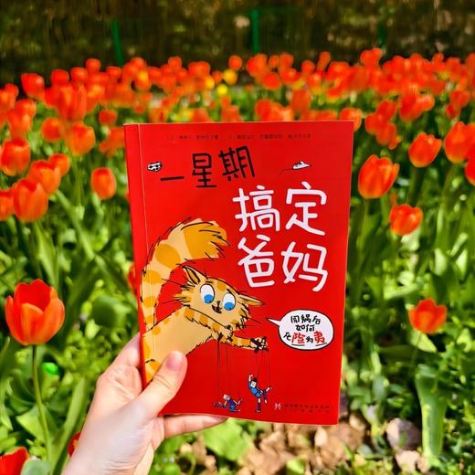 一星期搞定爸妈 商品图2
