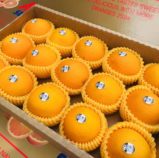 【ACE•澳橙🍊】闪亮登场，登场即惊艳，口味极佳，橙味浓郁，果肉细腻，酸甜可口15只/箱 商品图3