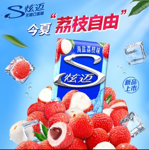 炫迈无糖口香糖海盐荔枝味50.4g 商品图0