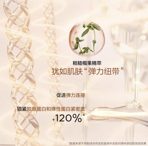 娇韵诗·护肤三件套双萃精华液50ML日霜晚霜50ml 紧致提亮御龄维稳护肤套装 商品图5