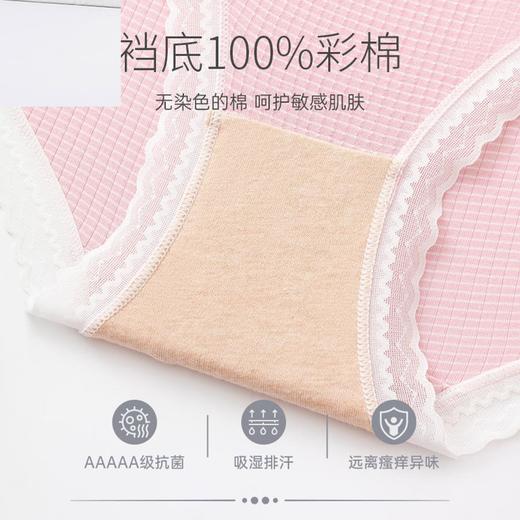 3部顶瓜瓜莫代尔抽条女士内裤3条装DNKWC-AQ32284-3 商品图4